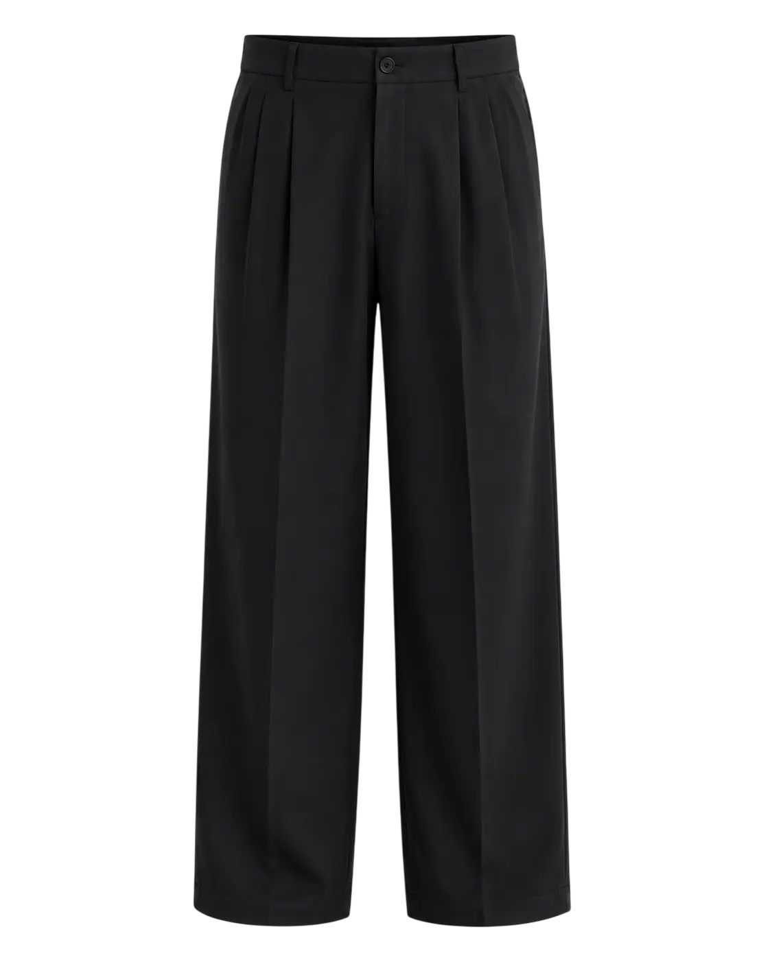 PLEATED PANTS